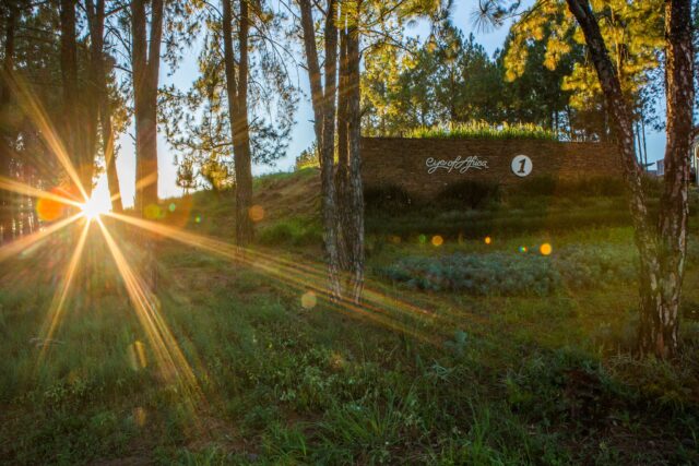 Golden hour at Eye of Africa just hits differently. 🌅🌿

Quiet surroundings, open spaces and views that make coming home feel like an escape.

This is estate living at its best. 👌

#EyeOfAfrica #EstateLiving #LuxuryLifestyle #GolfEstate #Weekend
